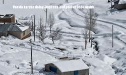 Van'da kardan dolayı kapanan 390 yoldan 355'i açıldı