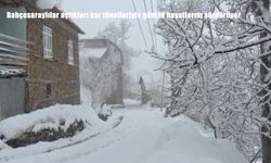 Bahçesaraylılar açtıkları kar tünelleriyle günlük hayatlarını sürdürüyor