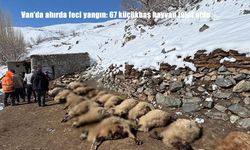 Van'da ahırda feci yangın: 67 küçükbaş hayvan telef oldu