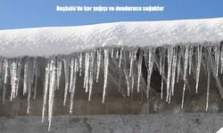 Başkale’de Kar Yağışı ve Dondurucu Soğuklar Hayatı Olumsuz Etkiliyor