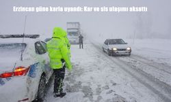 Erzincan güne karla uyandı: Kar ve sis ulaşımı aksattı