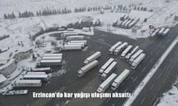 Erzincan'da kar yağışı ulaşımı aksattı