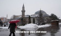 Erzurum’da kar yağışı etkili oluyor