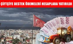 Muş’ta çiftçiye destek ödemeleri başladı: İlk etap hesaplarda