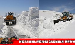 Muş’ta karla mücadele sürüyor: 33 köy yolu ulaşıma açıldı