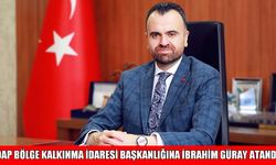 DAP Bölge Kalkınma İdaresi Başkanlığına Halil İbrahim Güray atandı