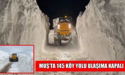 Muş’ta kar yağışı şiddetini artırdı: 145 köy yolu ulaşıma kapalı