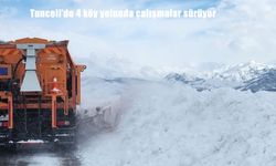Tunceli'de 4 köy yolunda çalışmalar sürüyor