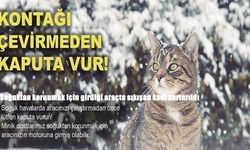 Erzincan’da soğuktan kaçan kedi araçta sıkıştı