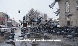 Meteorolojiden Doğu’ya çığ, don ve buzlanma uyarısı