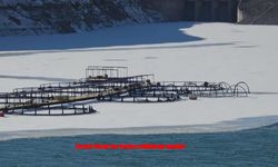 Zernek Barajı’nda Kışın Sert Yüzü, Baharla Yer Değiştiriyor