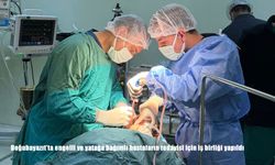 Doğubayazıt’ta engelli ve yatağa bağımlı hastaların tedavisi için iş birliği yapıldı