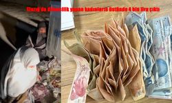 Elazığ’da dilencilere zabıta müdahalesi: Üzerlerinden binlerce lira çıktı