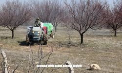 Malatya’da kayısı için kritik süreç: Üreticilere önemli uyarı