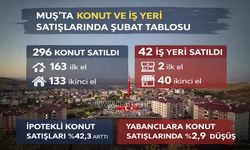 Muş’ta konut ve iş yeri satışlarında şubat tablosu