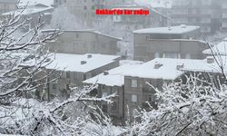 Hakkari Beyaza Büründü: Kar Hayatı Olumsuz Etkiliyor