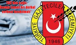 TGC: Üyemiz İsmail Arı bir an önce serbest bırakılmalı