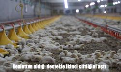 Devlet desteğiyle büyüdü: İkinci çiftliğini kurup üretimini katladı