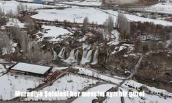 Muradiye Şelalesi Bayramda Ziyaretçi Akınına Uğradı