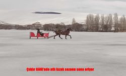 Çıldır Gölü’nde Atlı Kızak Sezonu Kapandı