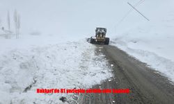Hakkari’de 61 Yerleşim Yeri Ulaşıma Kapandı