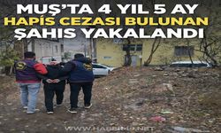 Muş’ta hapis cezası bulunan şahıs kovalamaca sonucu yakalandı