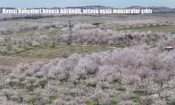 Kayısı bahçeleri beyaza büründü, ortaya eşsiz manzaralar çıktı