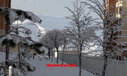 Yüksekova’da bahar yerini kışa bıraktı: Kar ve sis etkili oldu