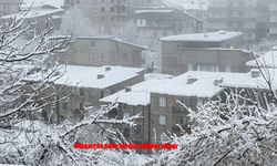 Hakkari’de karla karışık yağmur hayatı olumsuz etkiliyor