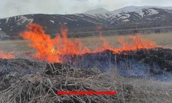 Van Gevaş’ta Anız Yangını Korkuttu