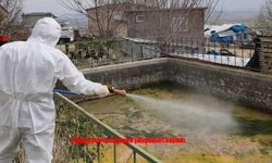 Elazığ’da Bahar Öncesi Larva İlaçlama Çalışmaları Başladı