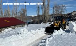 Erzurum'da karla mücadele devam ediyor