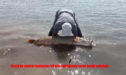 Sezonun Son Saatlerinde Dev Turna Balığı Yakalandı