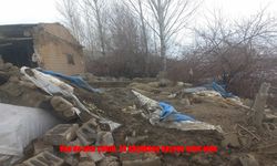 Van’da Ahır Çöktü, Hayvanlar Telef Oldu