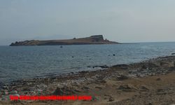 Van Gölü: Sessiz görünen, ama 7/24 canlı bir ekosistem