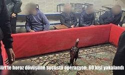Siirt’te yasa dışı horoz dövüşüne suçüstü baskın: 60 kişi yakalandı