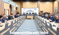 Sahipsiz hayvanlar için Erzurum’da kapsamlı değerlendirme