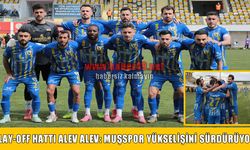 Muşspor oynamadan 3 puanı kaptı, 1 sıra daha yükseldi