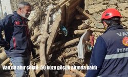 Van’da ahır çöktü: 50 kuzu göçük altında kaldı