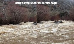 Elazığ’da sağanak yağış sonrası dereler taştı