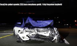 Elazığ’da şubat ayında 235 trafik kazası: 1 ölü, 160 yaralı