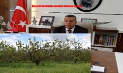 Kayısı Üreticilerine Kritik Uyarı: Monilya Tehdidi Başladı!