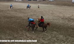 Erzurum’da cirit müsabakası nefes kesti