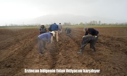 Kızıltepe’de ambulans ve tır çarpıştı: 3’ü sağlıkçı 4 yaralı