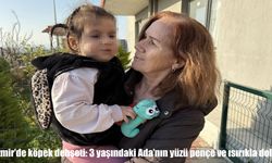 İzmir’de apartman bahçesinde köpek saldırısı: 3 yaşındaki Ada yüzünden yaralandı