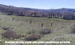 Diyarbakır’da arama çalışmalarına ara: Kayıp engelli şahsın izine rastlanmadı