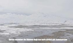 Doğanın eşsiz uyumu göz kamaştırıyor