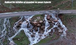 Hakkari’de doğa yeniden canlandı: Yol ortasında su kaynağı