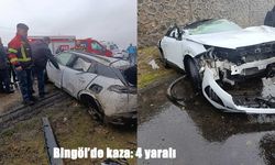 Bingöl’de otomobil şarampole devrildi: 4 yaralı