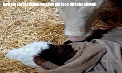 Elazığ’da bayram bereketi: Doğumla gelen mutluluk